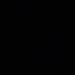 Meet your Posher, Rodriquiz